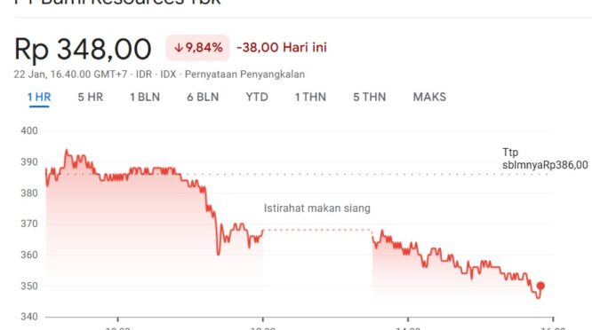 grafik saham bumi