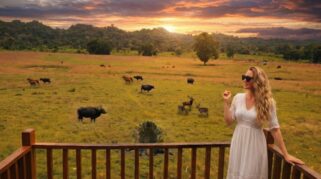 Padang savana taman nasional alas purwo