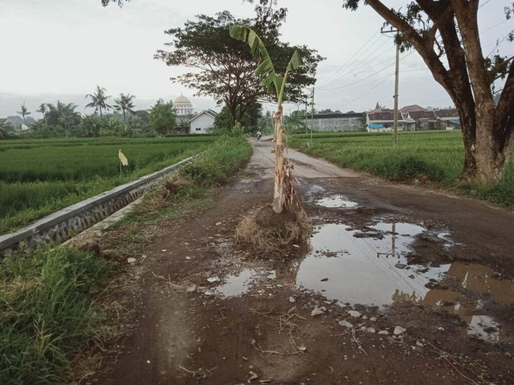 Warga Rogojampi Mengeluh, Jalan Penghubung dan Menuju Masjid Jami'  Pancoran Rusak Parah