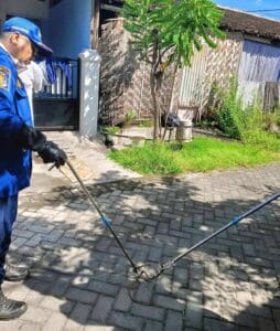 Intensitas Ular Masuk Rumah Meningkat Akibat Cuaca Panas Ekstrim