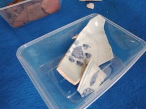 Temuan Porselen Dan Gerabah Glasir Abad 15 Menjadi Tambahan Petunjuk ODCB Di Desa Balak di Banyuwangi