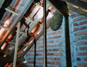 damkar evakuasi sarang tawon vespa di atap rumah