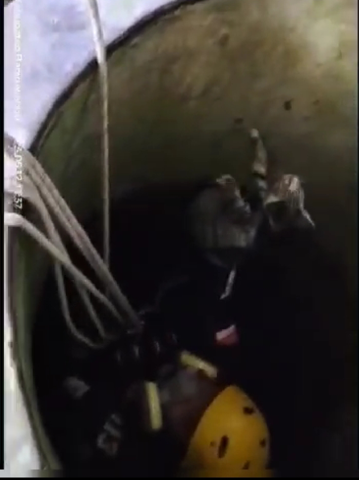 Petugas Damkar Banyuwangi Evakuasi Kucing Yang Jatuh Ke Sumur Warga Evakuasi Kucing dari dalam sumur