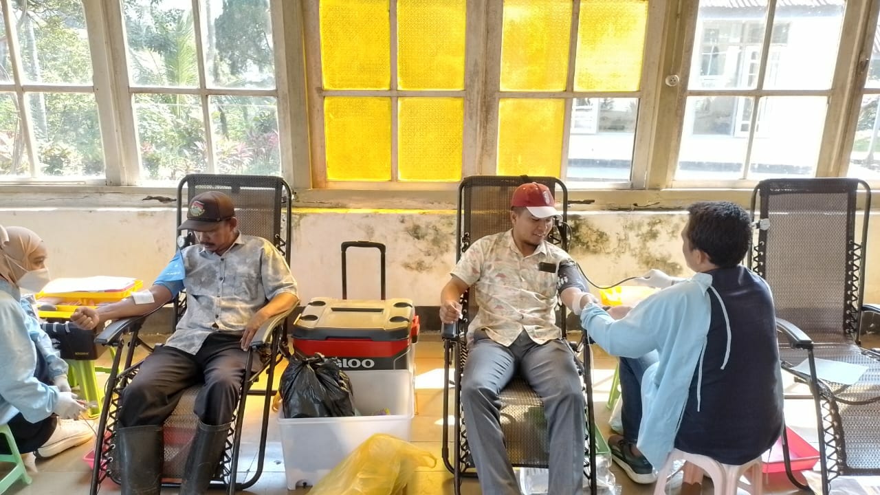 Karyawan, Batih Dan Masyarakat Sekitar PTPN 12 Kebun Zeelandia Melakukan Donor Darah Rutin Bersama UDD PMI Kabupaten Jember Donor darah PTPN 12 Jember