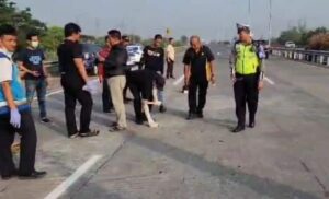 Tim Reskrim Polresta Sidoarjo olah TKP di Tol Sumo