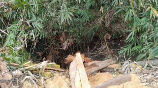 Dinas Pengairan Banyuwangi Ambil Langkah Cepat, Demi Keberlangsungan  Ekosistem Aliran Sungai di Banyuwangi