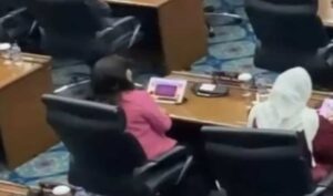 Anggota DPRD DKI, Cinta Mega