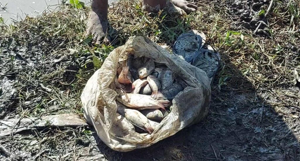 menangkap ikan sampai dapat 10 kg 