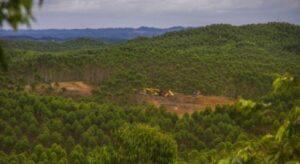 Mafia Tanah Melibatkan Korban dengan cara Legalisasi