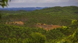 Mafia Tanah Melibatkan Korban dengan cara Legalisasi