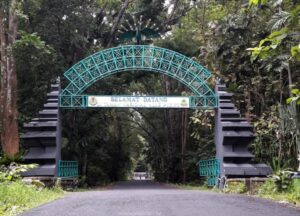 Wisatawan alas Purwo hilang