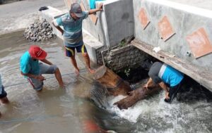 Korsda Pengairan Rogojampi,