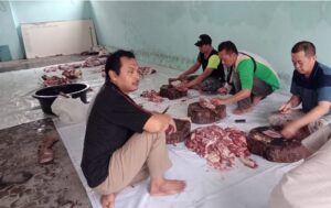 pembagian hewan kurban kemenag banyuwangi