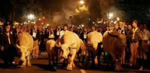 Tradisi dan Makna Malam 1 Suro dalam Budaya Jawa Indonesia