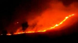 Hutan Kawah Wurung Gunung Ijen Terbakar, 1 Peleton Petugas Diterjunkan
