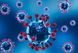 Covid 19 sub varian eris