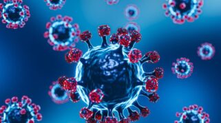 Covid 19 sub varian eris