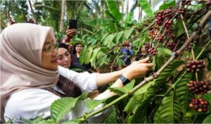Pesta Rakyat Kopi Gombengsari