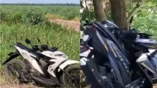 sasis model eshaf honda