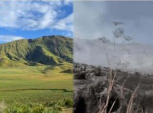 Balai Besar Taman Nasional Bromo Tanggapi Laporan Rombongan Prewedding Terkait Kebakaran