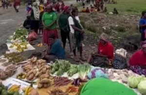 Masyarakat di Intan Jaya, Papua Tengah Kekhawatiran Naiknya Harga Sembako