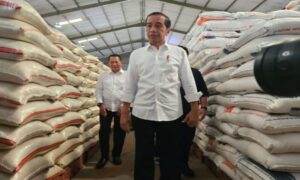 Presiden Jokowi pastikan stock beras dalam negeri aman saat kemarau