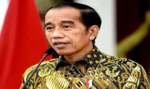 Presiden Jokowi Tegaskan Penyelewengan Dana Desa Bisa Berujung Pidana