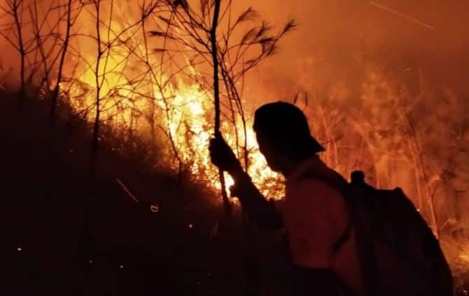 Kebakaran Gunung Arjuno,