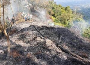 Kebakaran Hutan di Banyuwangi