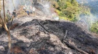 Kebakaran Hutan di Banyuwangi