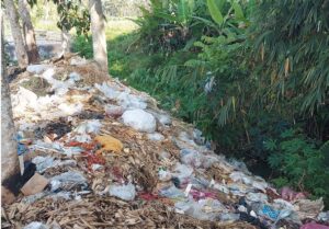 LSM FRB Mendorong Program Sekardadu Banyuwangi Dilaksanakan Serius