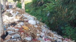 LSM FRB Mendorong Program Sekardadu Banyuwangi Dilaksanakan Serius