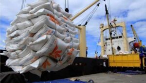 Pemerintah Rekor Impor Beras Dari 3,5 Juta Ton Hanya 2,6 Juta Ton yang Terealisasi