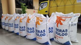 Pemerintah Terapkan Kebijakan Impor Beras, Respons Atas Harga Gabah Lokal yang Melonjak