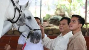 Prabowo Akan Bawa Usulan Bacawapres Gibran ke Rapat Ketum Koalisi
