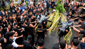 Kebo-keboan Puter Kayun, Tradisi Warga Suku Using Boyolangu Banyuwangi yang Tetap Terjaga di Banyuwangi
