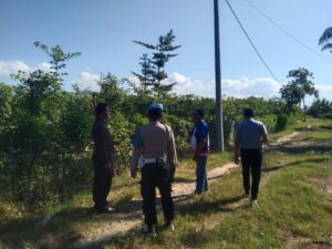 Kebun Buah Naga Warga Banyuwangi Kembali Disatroni Maling di Banyuwangi