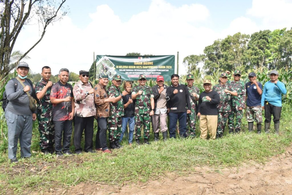 Dandim 0825/Banyuwangi Kunjungi Posramil Licin dan Tinjau Lokasi Penanaman Jagung untuk Program Ketahanan Pangan Nasional Dandim 0825/Banyuwangi Kunjungi Posramil Licin dan Tinjau Lokasi Penanaman Jagung untuk Program Ketahanan Pangan Nasional