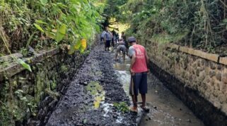 Warga pra sejahtera Banyuwangi bekerja bakti membersihkan saluran irigasi.