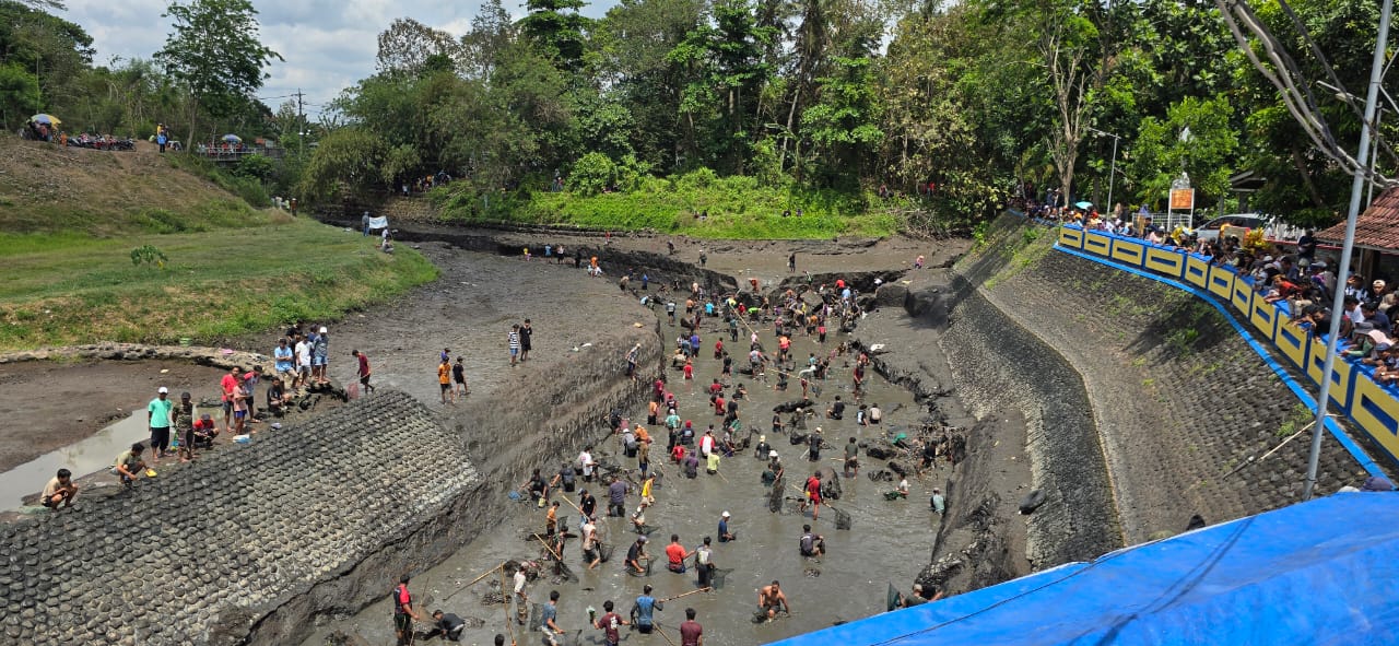 Jelang Musim Tanam, Pemkab Banyuwangi Kuras DAM, Warga Serbu Cari Ikan Warga berkumpul di DAM yang sedang dikuras.