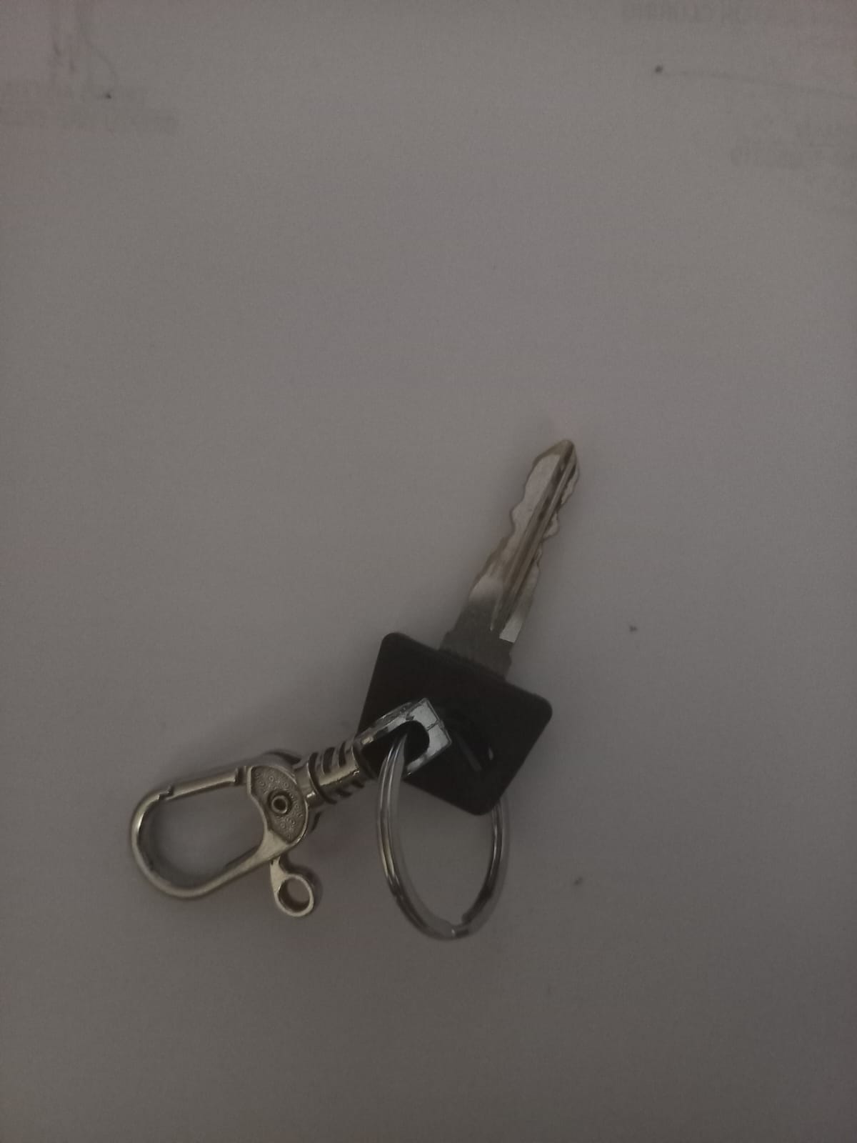 Polsek Cluring Ringkus Pencuri Burung di Desa Tampo, Banyuwangi