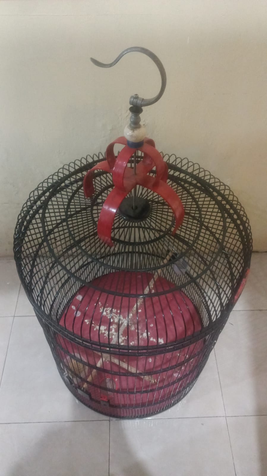 Polsek Cluring Ringkus Pencuri Burung di Desa Tampo, Banyuwangi