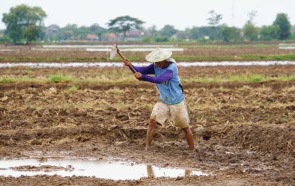 DPRD Banyuwangi Desak Revisi Aturan Pupuk Bersubsidi, Ini Alasannya di Banyuwangi
