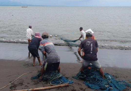 Nelayan Banyuwangi menarik jaring di pantai