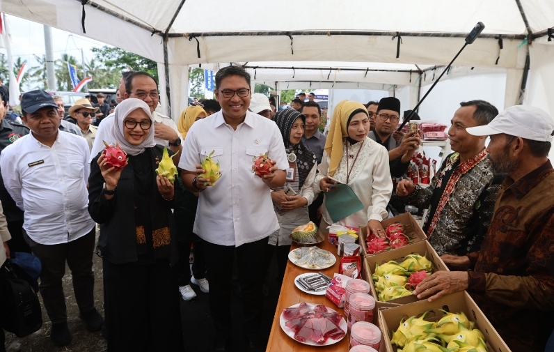 Wamentan bersama bupati banyuwangi kunjungi panen organik