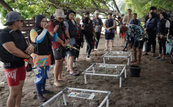 Aksi transplantasi terumbu karang PHI di Bangsring Underwater