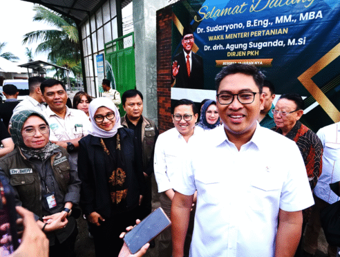 wamentan kunjungi peternakan sapi modern di banyuwangi