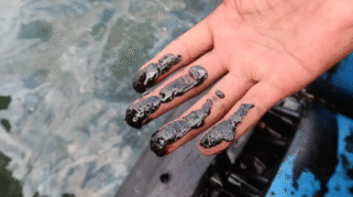 Limbah oli hitam menggenang di dermaga dan pasir Pantai Bangsring Underwater