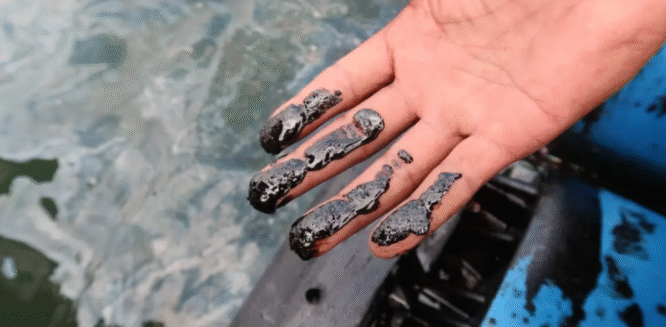 Limbah oli hitam menggenang di dermaga dan pasir Pantai Bangsring Underwater