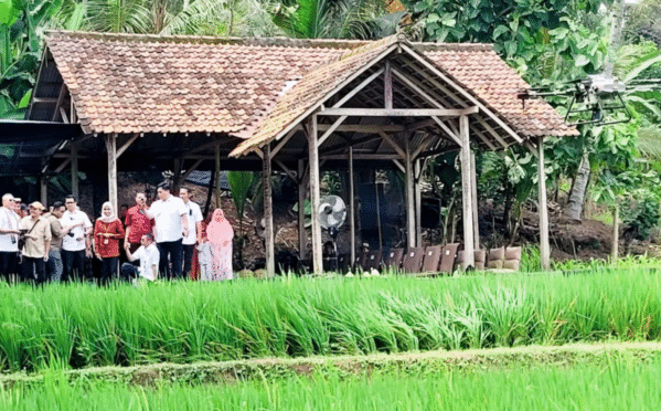 Menteri Zulkifli Hasan dan petani muda Banyuwangi di lokasi persawahan.